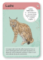 Preview: Moses - Expedition Natur 50 heimische Wald- & Wildtiere