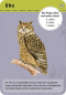 Preview: Moses - Expedition Natur 50 Tiere der Nacht