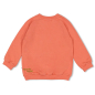 Preview: Sturdy- Jungen - Sweater - Desert Fiesta