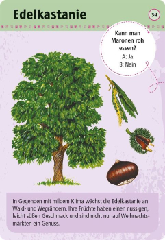 Preview: Moses - Expedition Natur 50 essbare Wildpflanzen