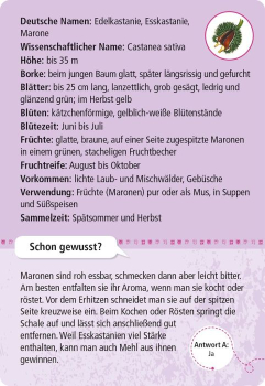 Preview: Moses - Expedition Natur 50 essbare Wildpflanzen
