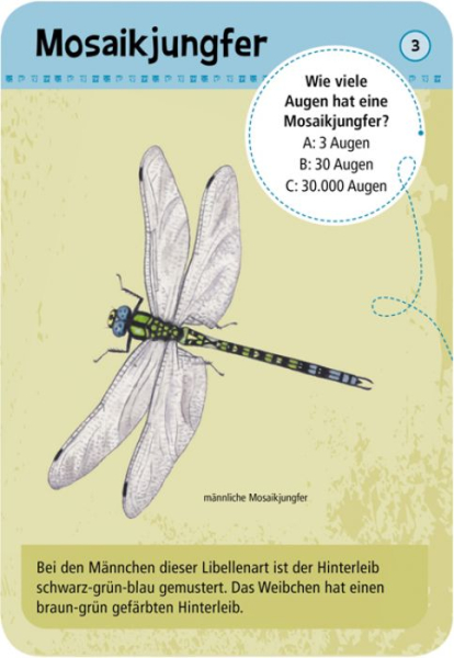 Moses - Expedition Natur 50 heimische Insekten & Spinnen