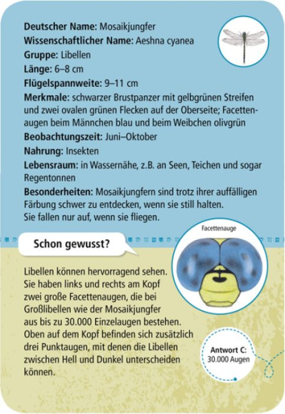 Moses - Expedition Natur 50 heimische Insekten & Spinnen