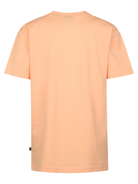 Petrol - T-Shirt HUIZACHE