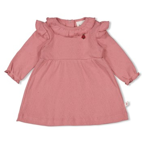 Feetje - Kleid - Ajour gerippt/ Ladybug