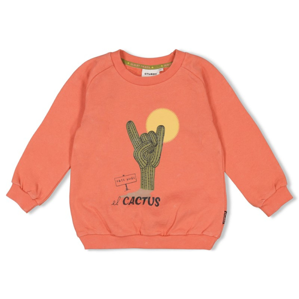 Sturdy- Jungen - Sweater - Desert Fiesta