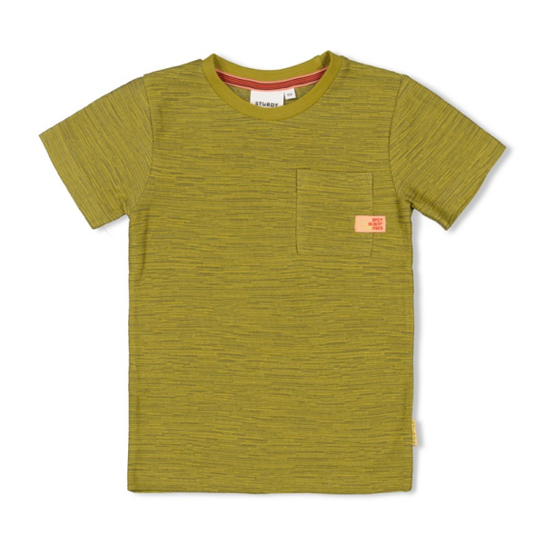 Sturdy- Jungen - T-Shirt - Desert Fiesta - grün